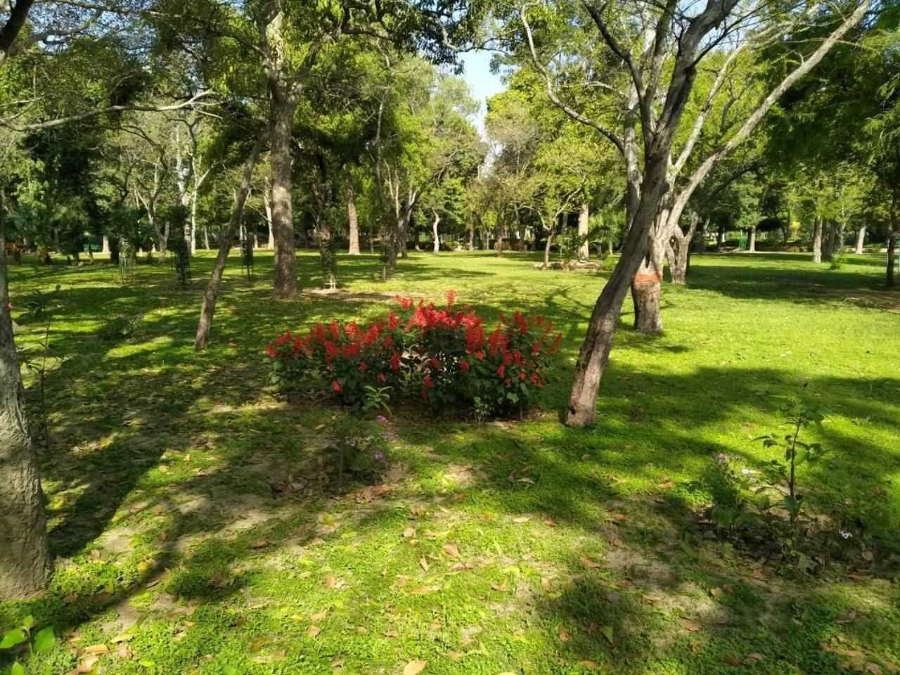 ניו דלהי Hotel Traditional Inn מראה חיצוני תמונה
