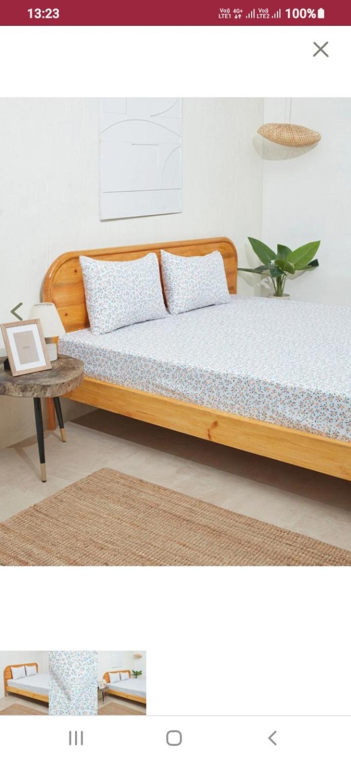 ניו דלהי Hotel Traditional Inn מראה חיצוני תמונה